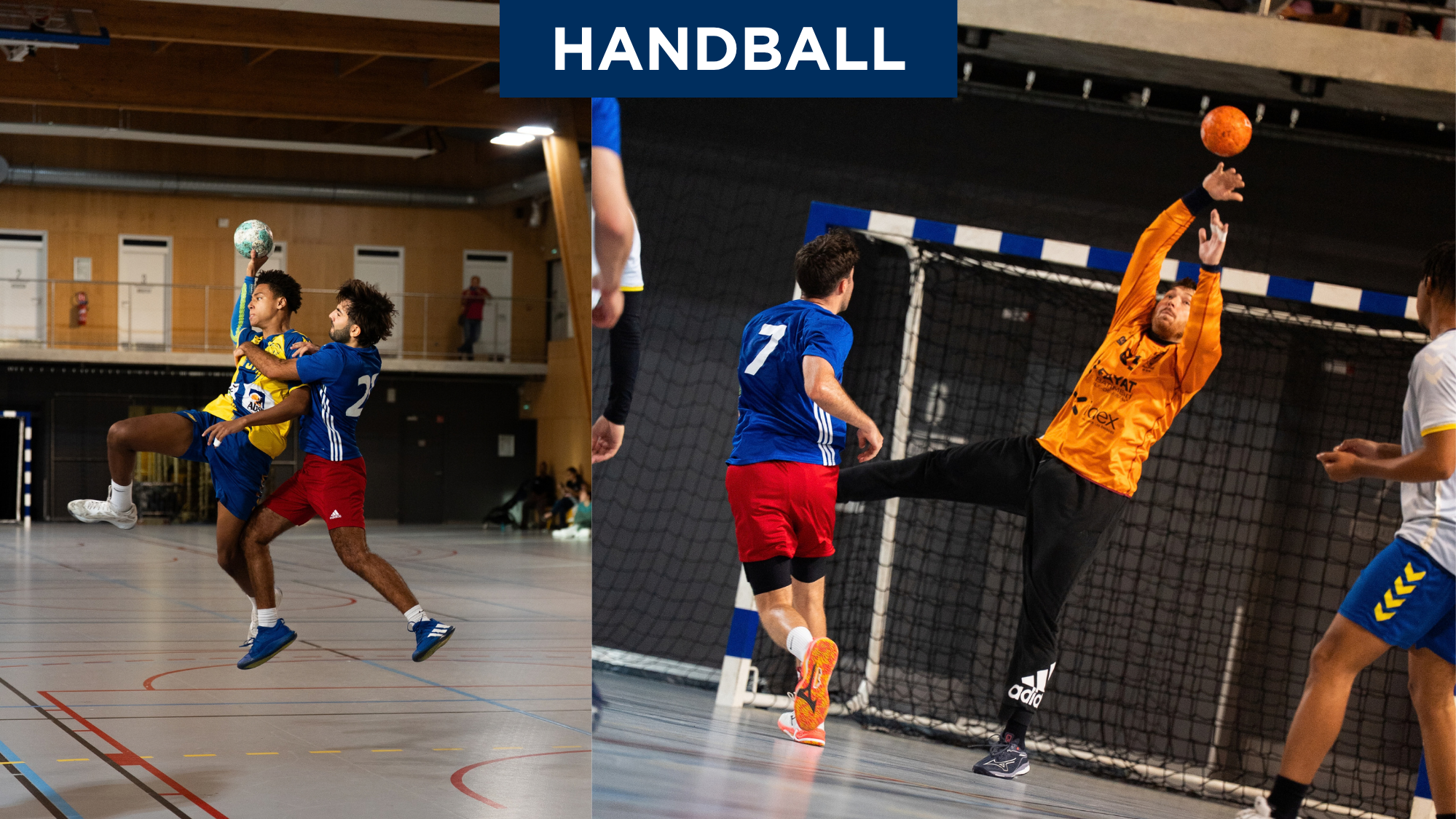 Handball : fortunes diverses à Suchet